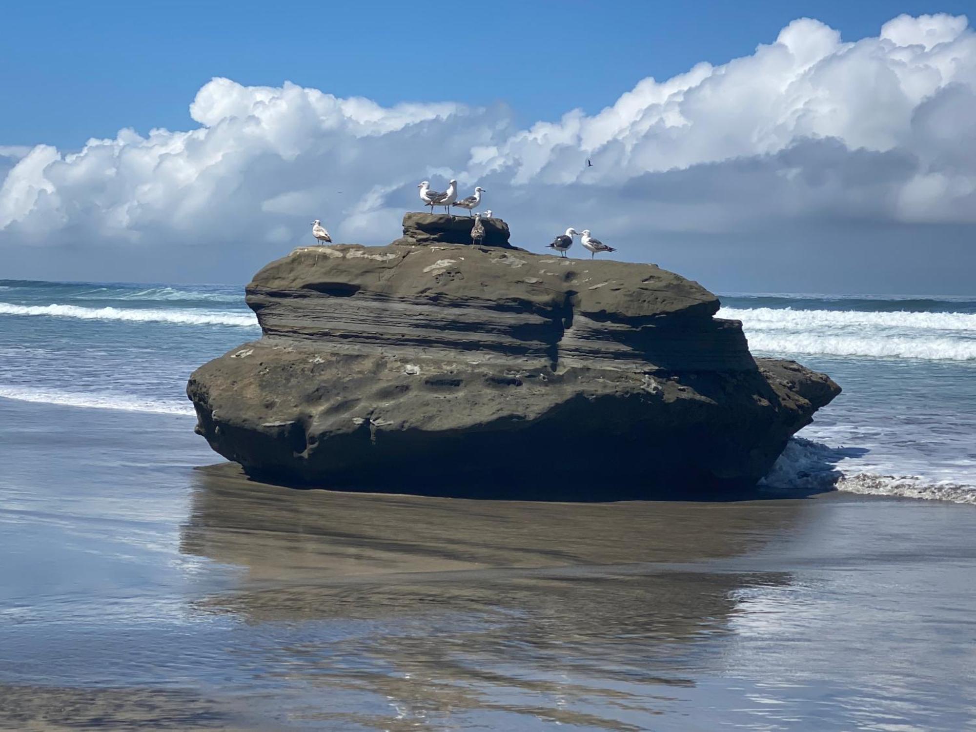 Dolphin Beach Get Away Rosarito Exteriör bild